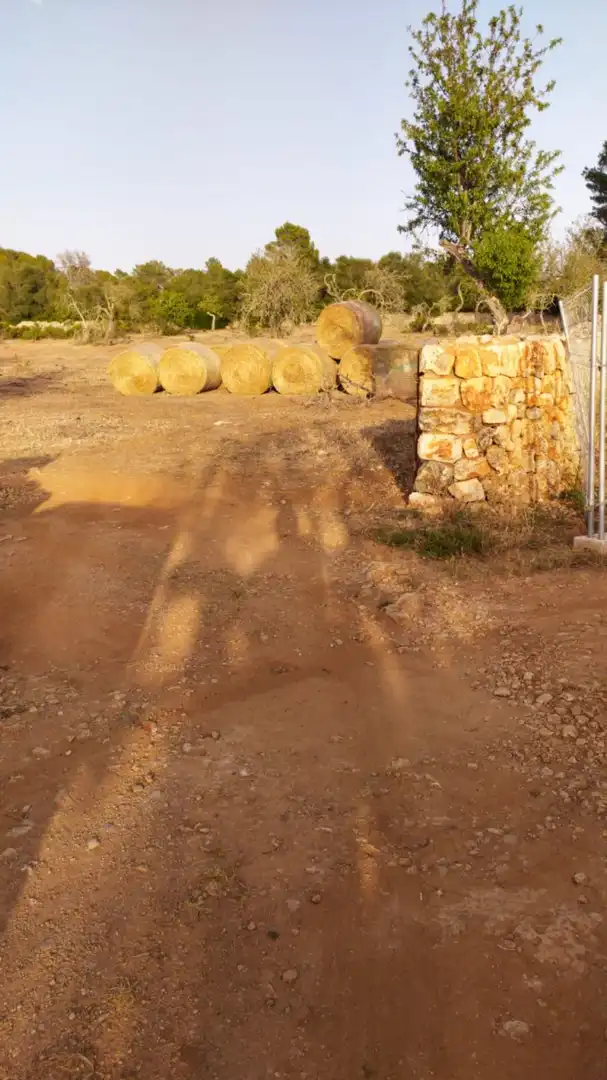 Terreno rustico in vendita a 0, imagen 10