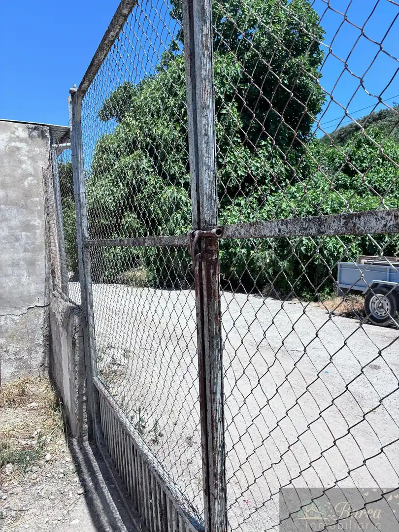 Vista exterior de Casa o chalet en venta en Rute con Trastero y Amueblado