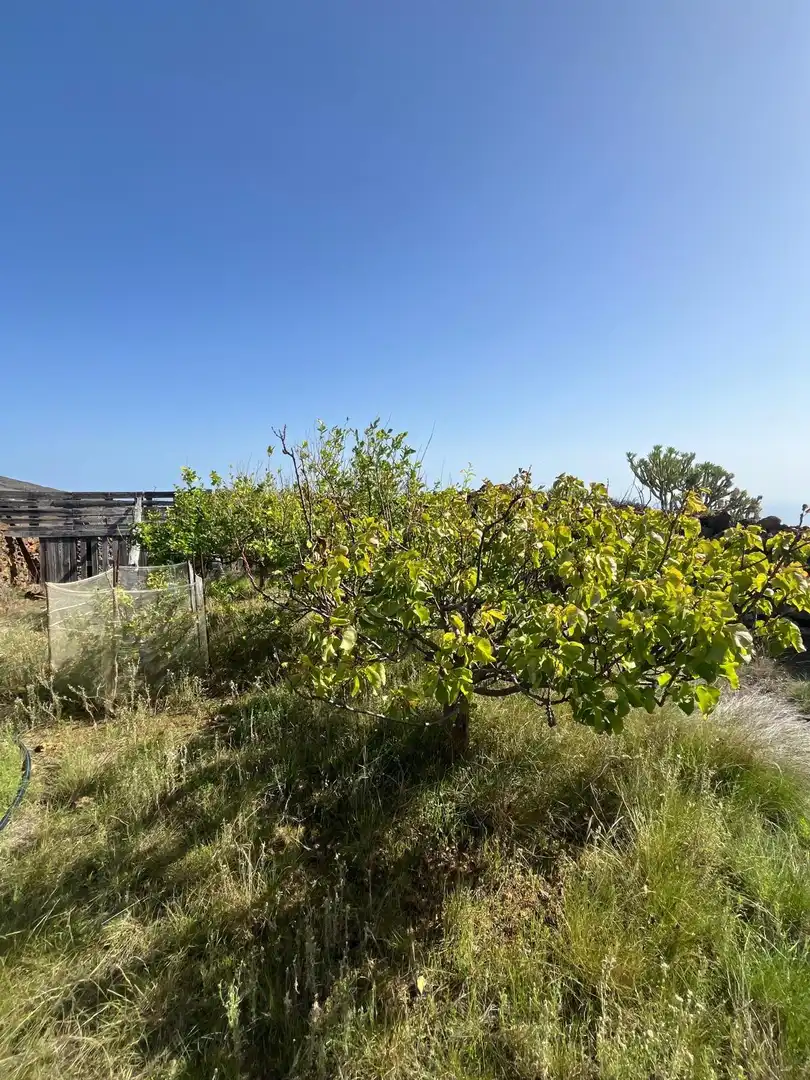 Residencial en venta en El Pinar de El Hierro