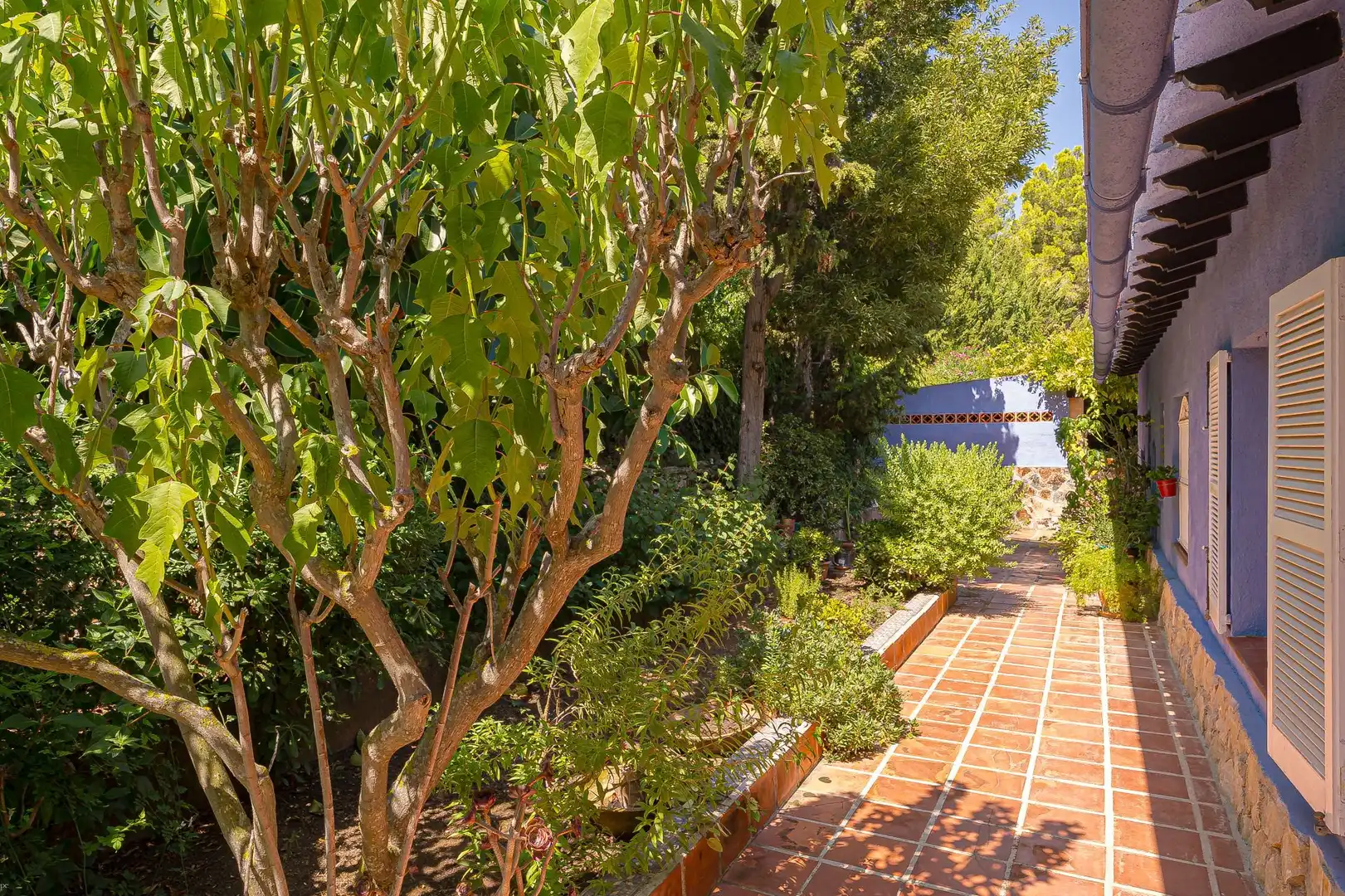 Maison avec piscine à vendre à Cap Martí - El Tossalet - Pinomar, imagen 14