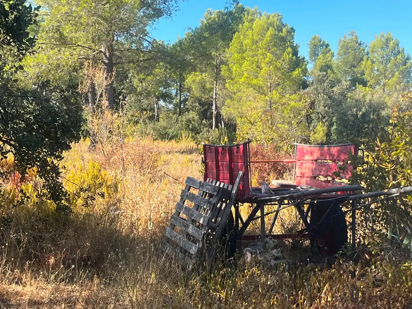Terreno rustico in vendita a Arnes, imagen 7