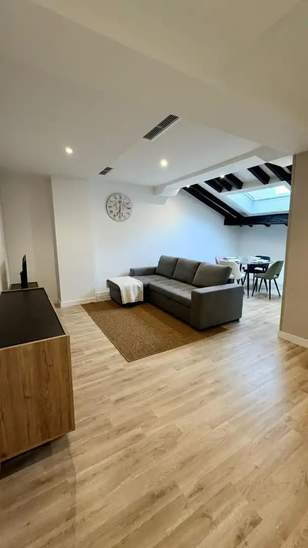 Sala d'estar de Àtic de lloguer en Bilbao  amb Aire condicionat, Calefacció i Moblat