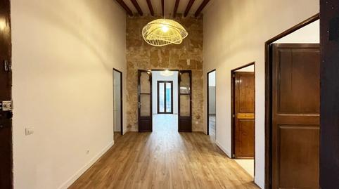 Photo 3 of Apartment to rent in El Terreno,  Palma de Mallorca