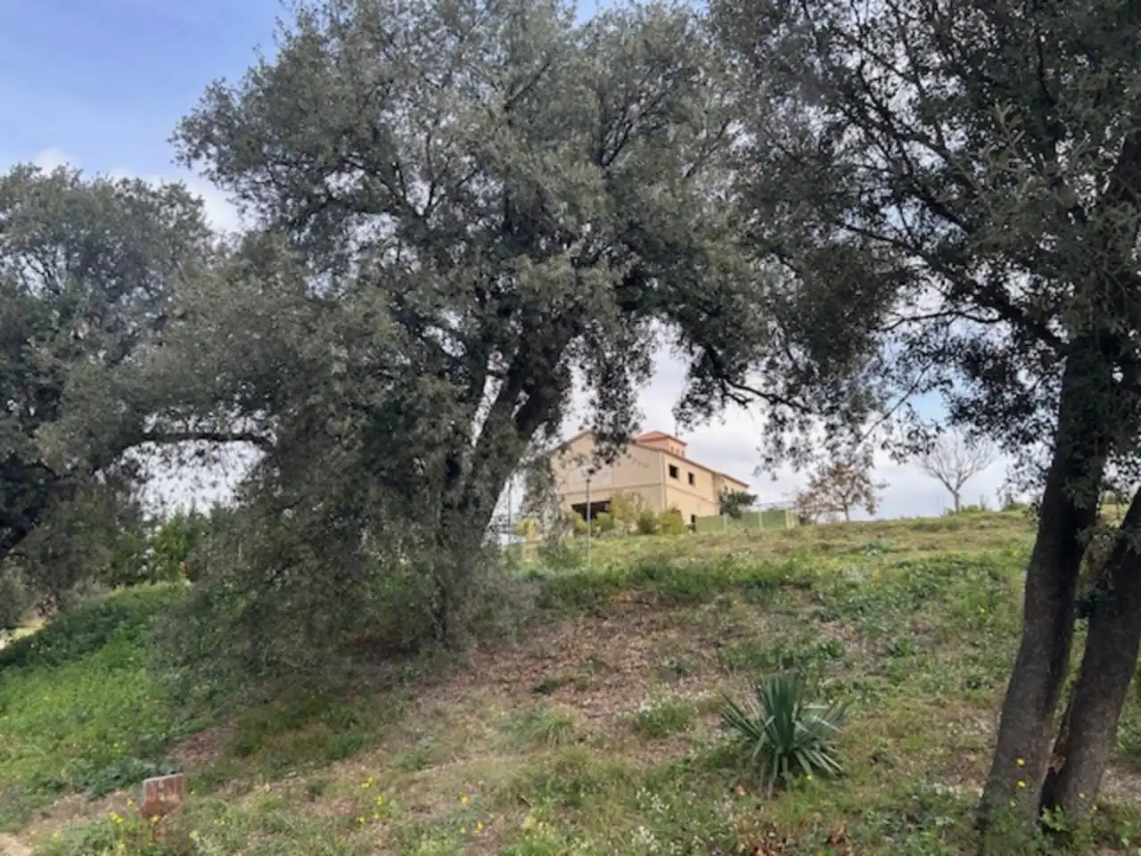 Country homes for sale in Carretera Rellinars, Poble Nou