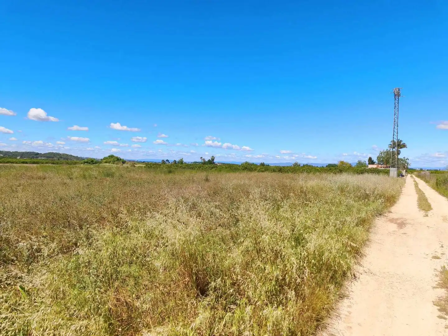 Lands and plots for sale in Riola