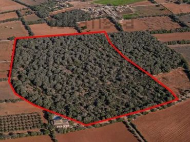 Terreny residencial en venda a Polígono CAS FUSTER, POLGONO 49 - LA PLATA DE SON MAYO