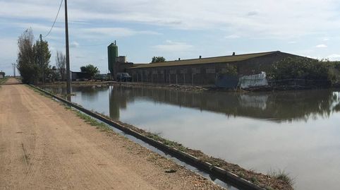 Photo 4 of Industrial buildings for sale in Eucaliptus - Poble Nou del Delta, Amposta