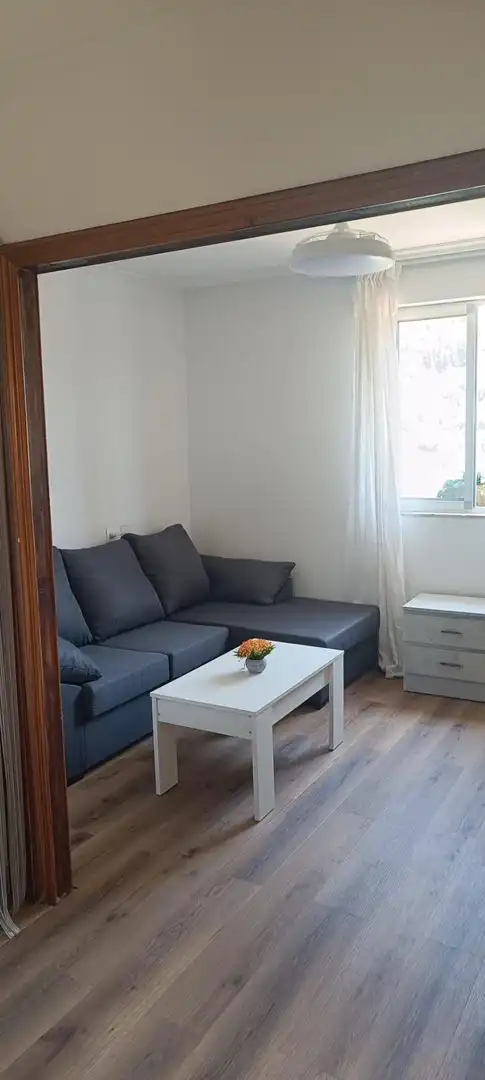 Living room of Flat for rent in Toreno  with Furnished