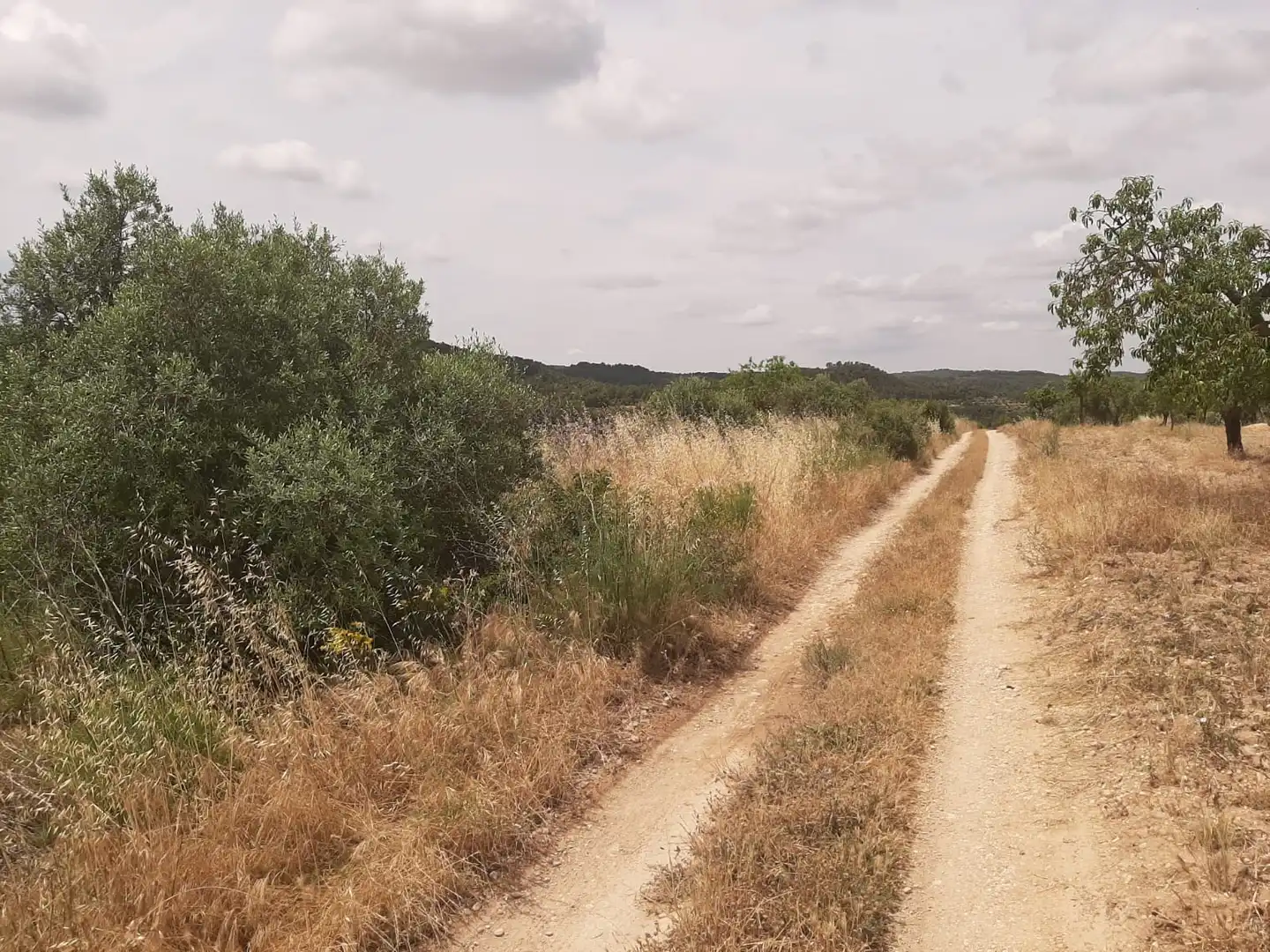 Casa adosada en venda en Cervià de Les Garrigues amb Jardí privat, Terrassa i Balcó