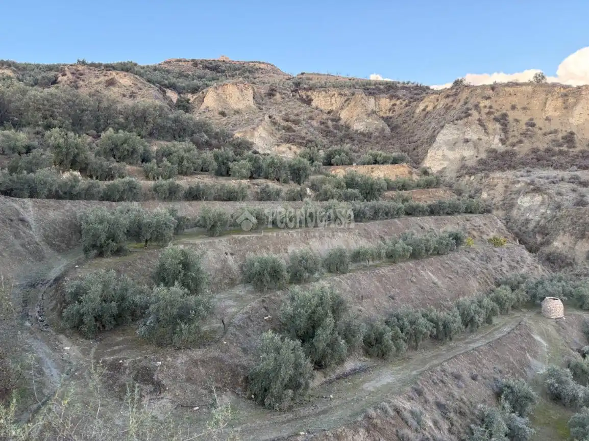 Terreno rustico in vendita a El Valle, imagen 15