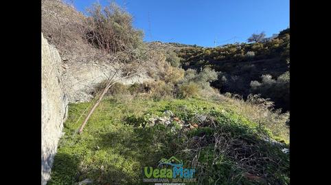 Photo 3 of Land for sale in Ducto de Cantarriján, Maro - Cuevas de Nerja, Nerja