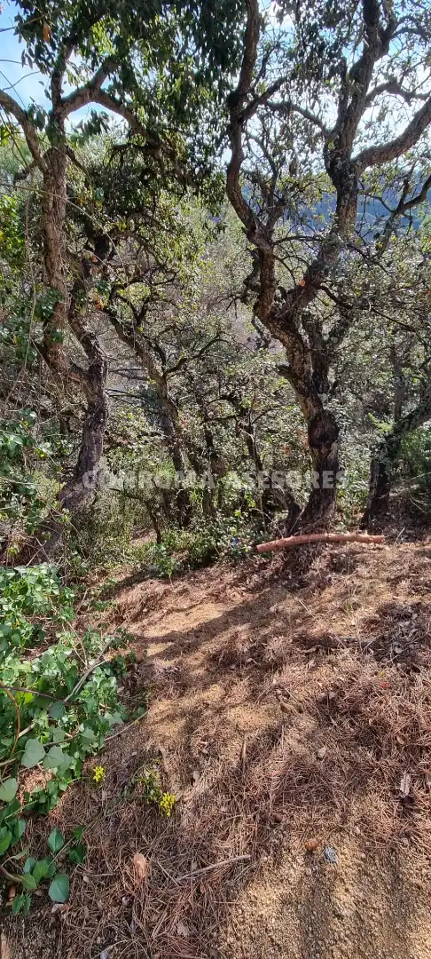 Residential land for sale in Canyelles, imagen 4