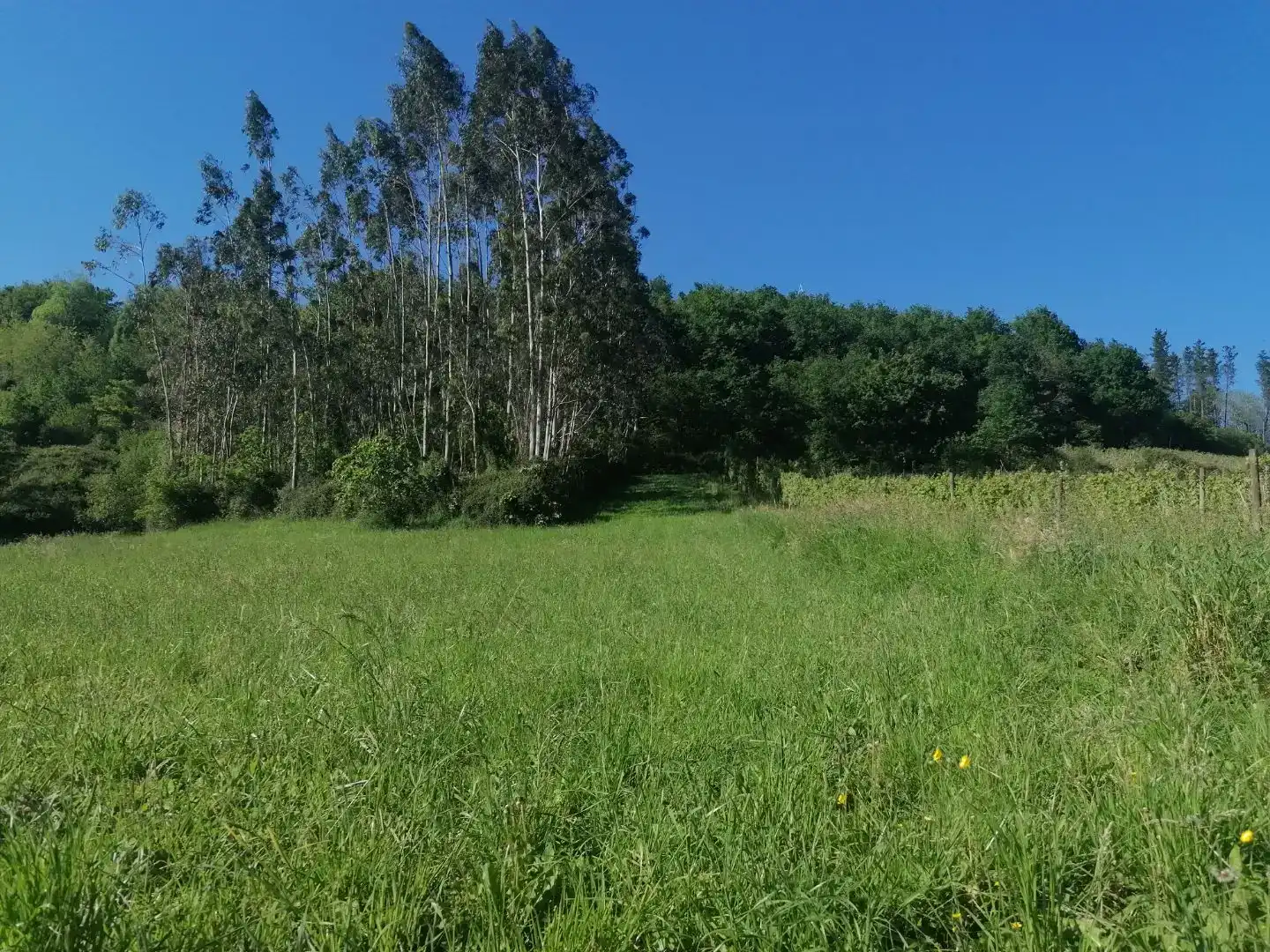 Casa o chalet en venta en Arrieta con Balcón