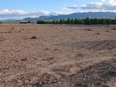 Terreno rustico in vendita a Yecla