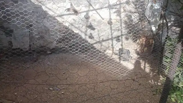 Business premises for sale in Espiel, imagen 5