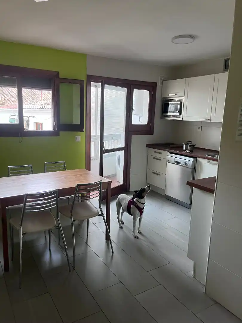 Flat with terrace for sale in Beiro, imagen 18