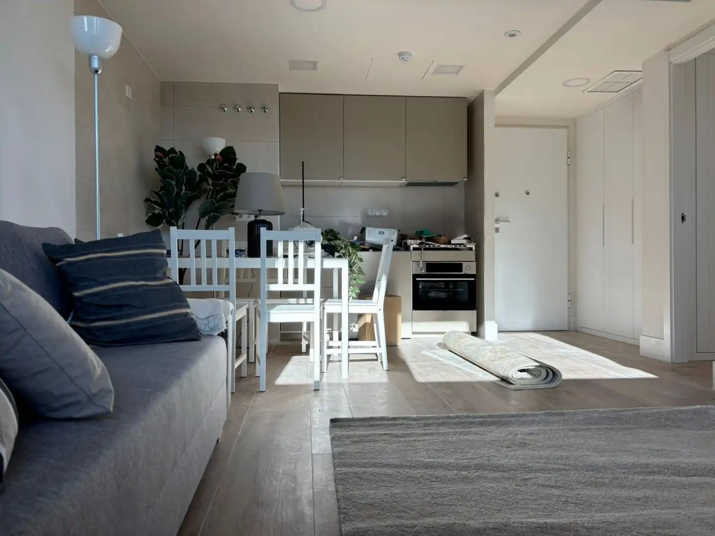 Living room of Flat for rent in Madrid  with Air Conditioner, Heating and Swimming Pool