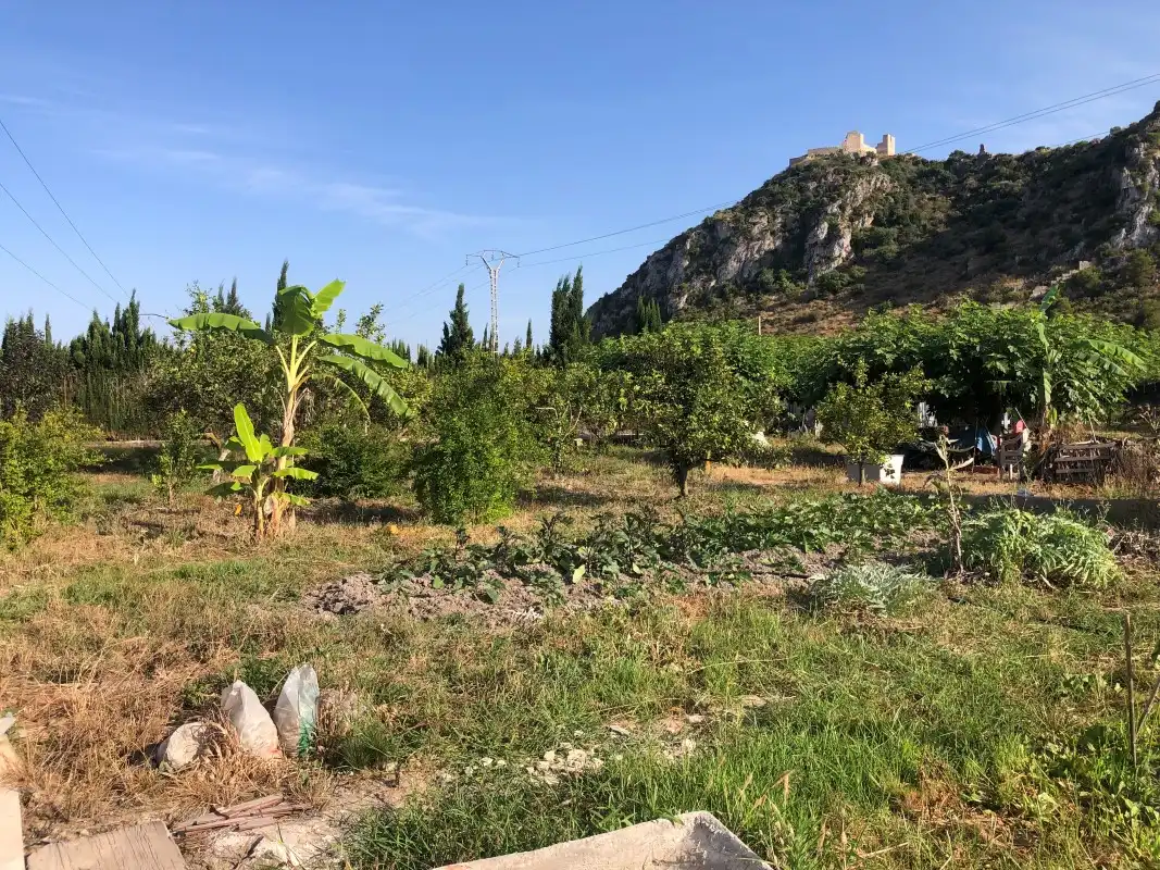 Terreno en venta en Gandia