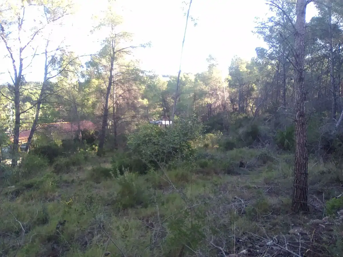Terrenys i solars en venda a Estivella, imagen 11