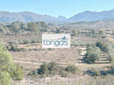 House for sale in Barxeta