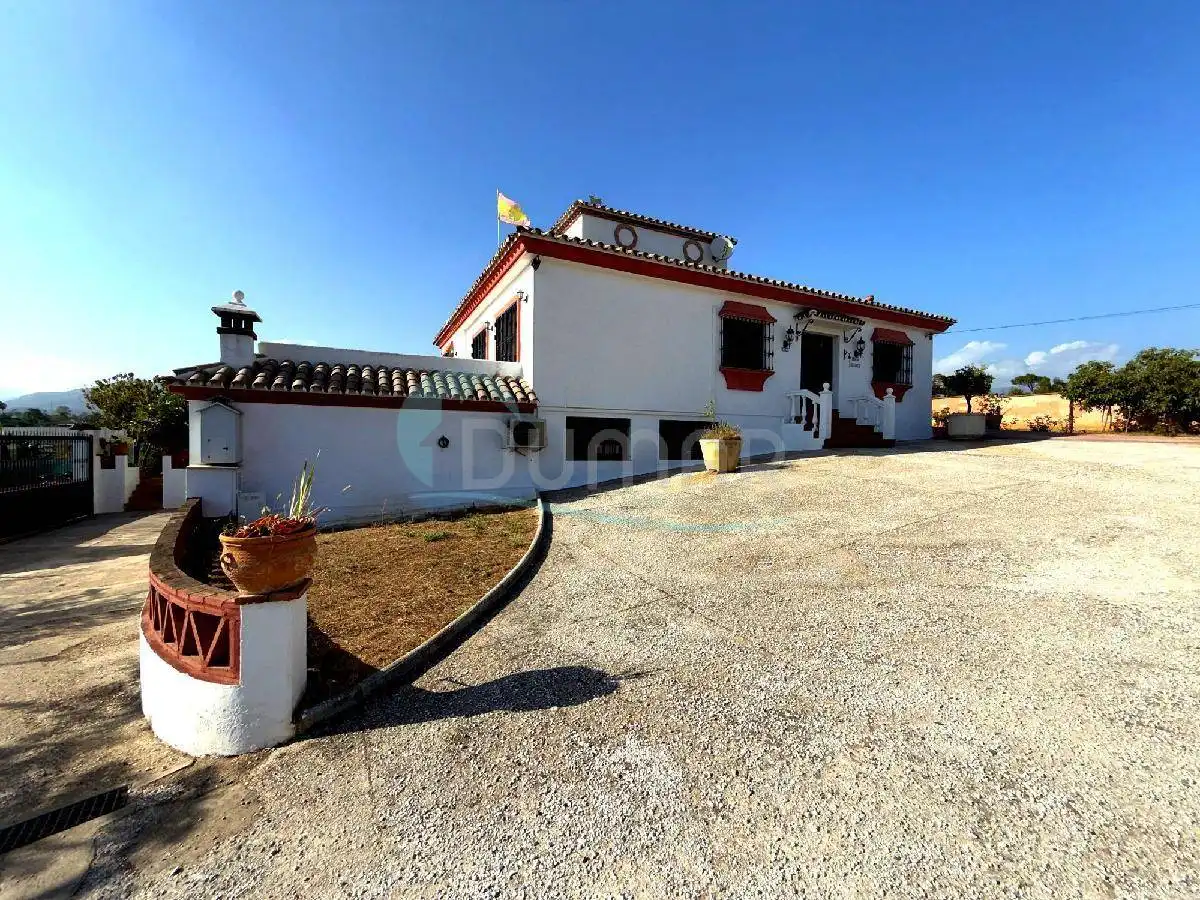 Vista exterior de Casa o chalet en venta en Marbella con Piscina y Piscina comunitaria