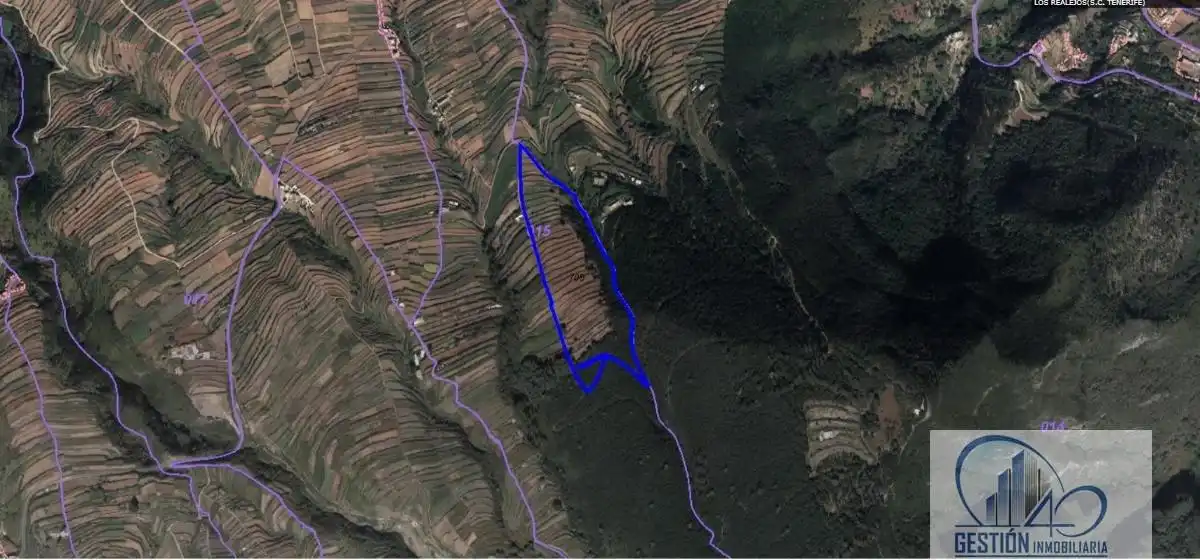 Finca rústica en venta en Los Realejos