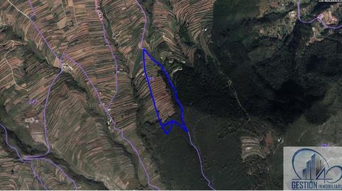 Foto 4 de Finca rústica en venta en Icod El Alto, Los Realejos