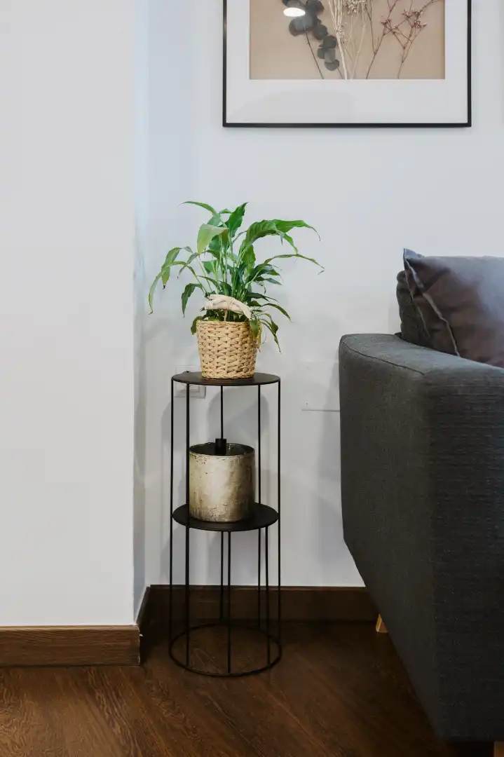 Garden of Apartments for rent in Calpe / Calp  with Air Conditioner, Heating and Parquet flooring