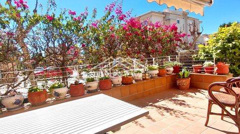 Photo 4 of Flat for sale in Palmanova, Calvià