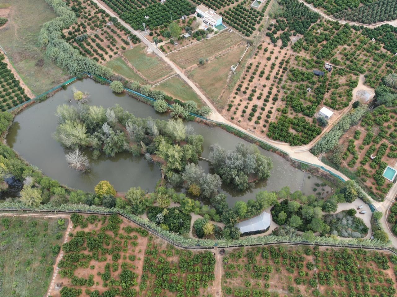 Jardí de Finca rústica en venda en Alzira amb Aire condicionat, Calefacció i Jardí privat