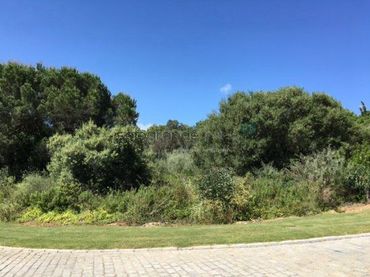 Terreni e lotti in vendita a Sotogrande Alto