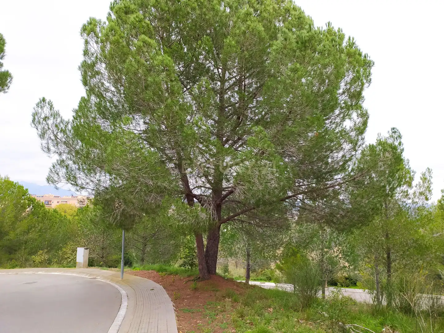 Residential land for sale in Ronda Pagesia 67C, imagen 18