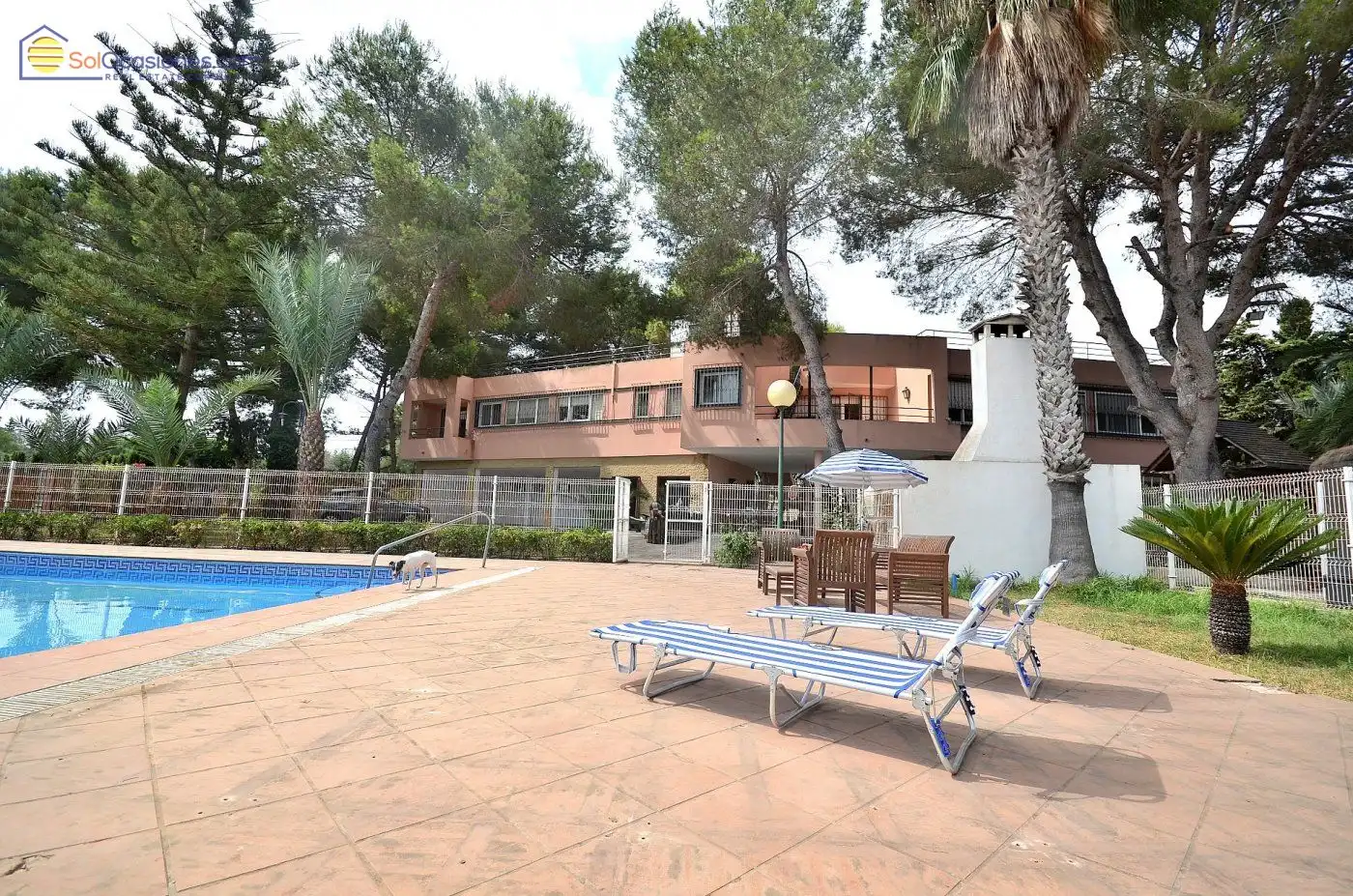 Villa avec piscine à vendre à Calle DISEMINADOS 81, imagen 35