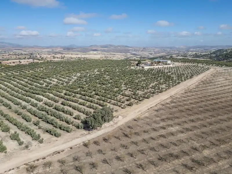 Terreni e lotti in vendita a Alamedilla, imagen 9