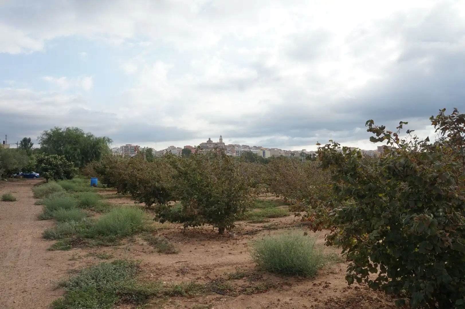 Terreno rustico in vendita a La Creu de Salom, imagen 17