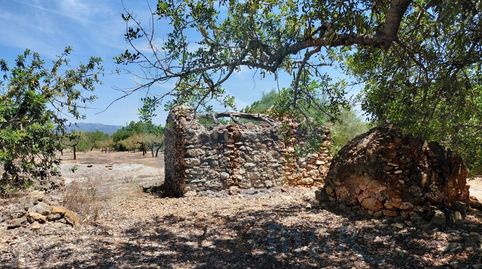 Foto 3 de Finca rústica en venta en El Perelló, Tarragona