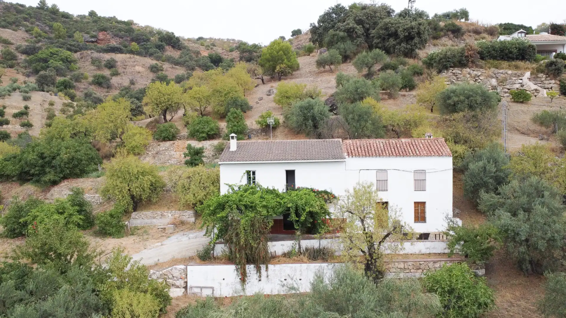 Rural land for sale in Monda