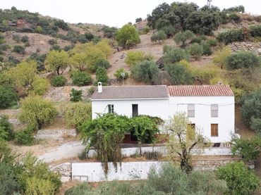 Terreny rústic en venda a Monda