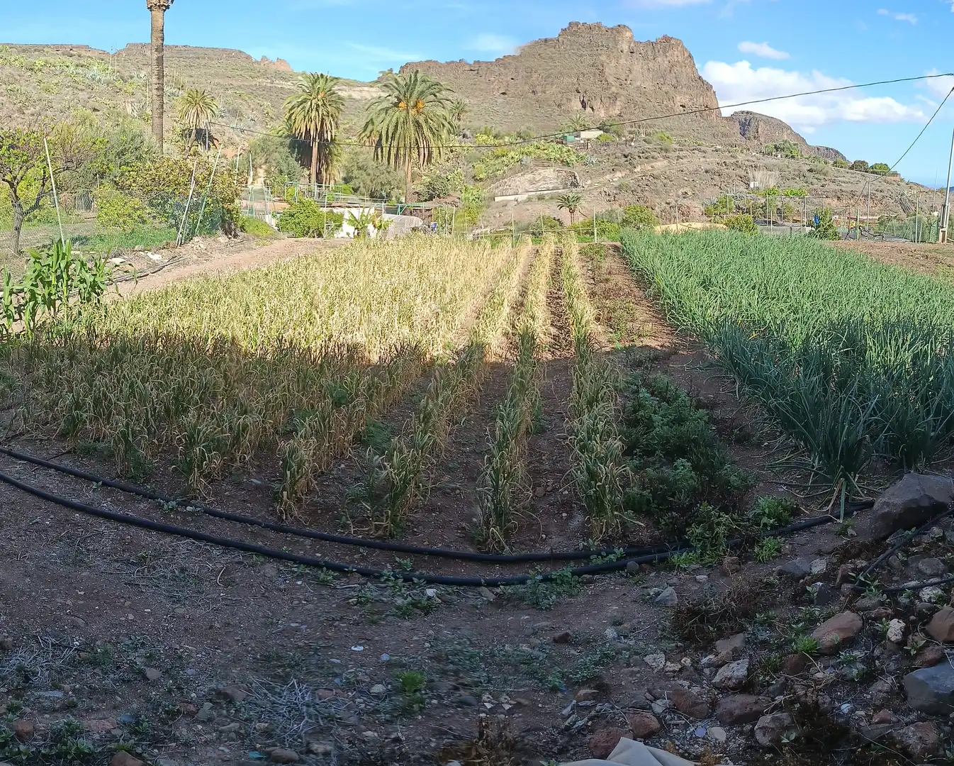 Casa o xalet en venda en Santa Lucía de Tirajana amb Calefacció, Jardí privat i Rentadora