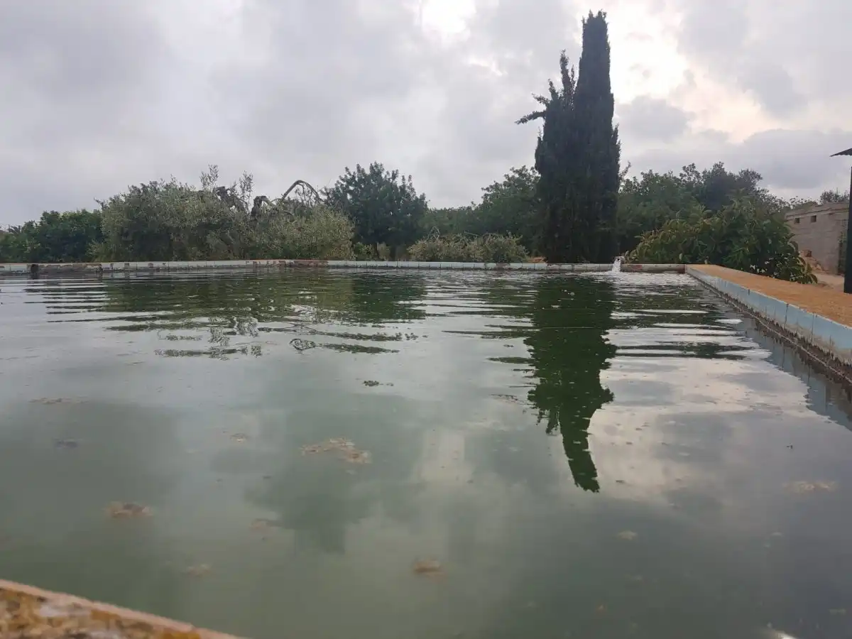 Piscina de Finca rústica en venda en Roda de Berà amb Aire condicionat, Calefacció i Jardí privat