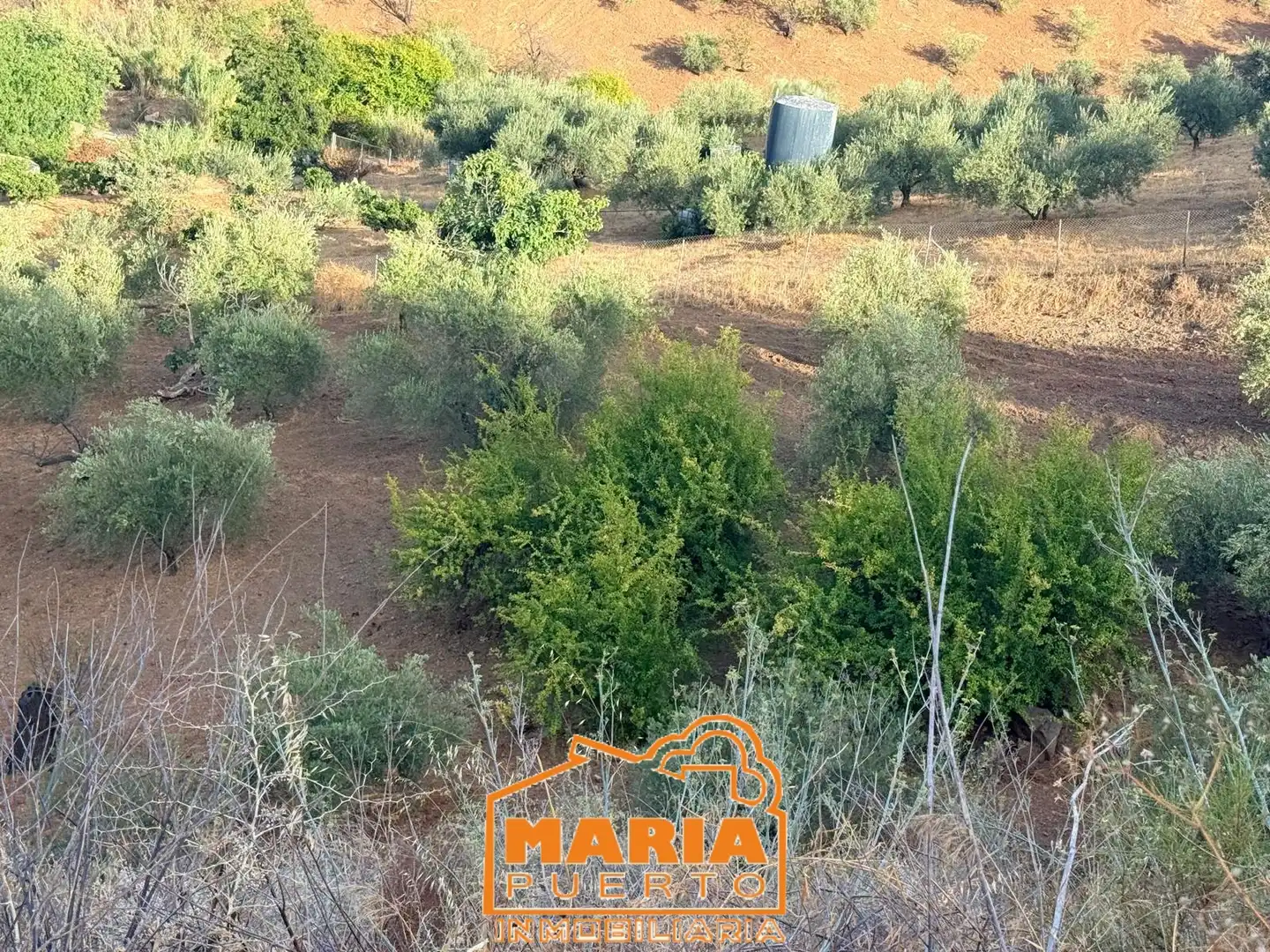 Terreno rustico in vendita a Almogía, imagen 14