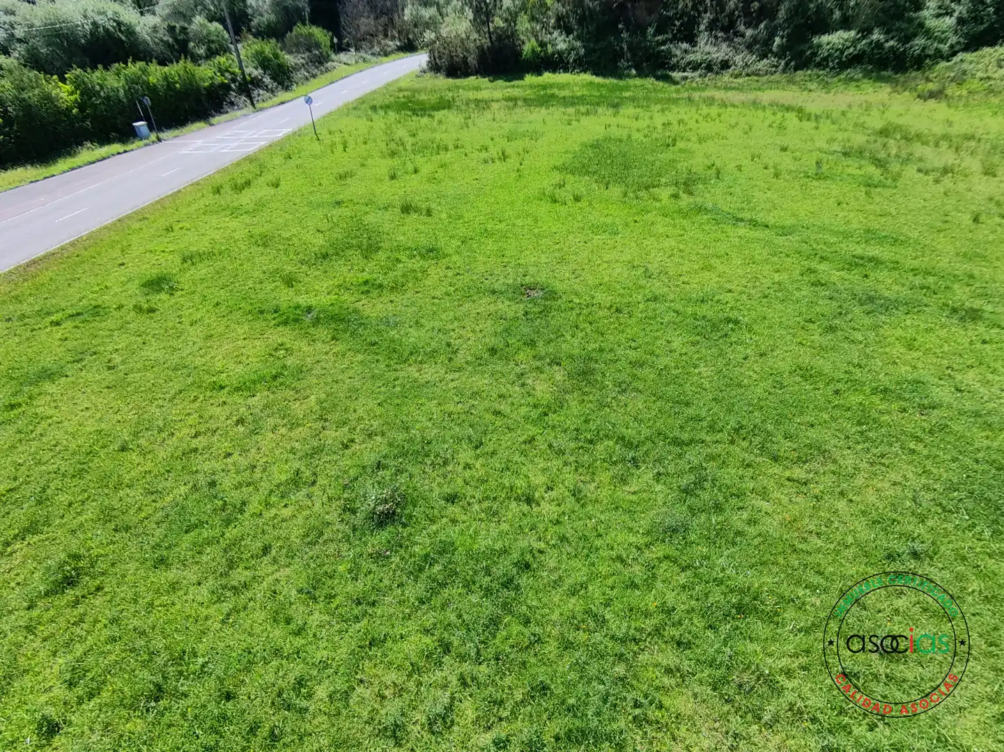 Terreno rustico in vendita a Gijón - CR DE GALLINAL 203, imagen 9
