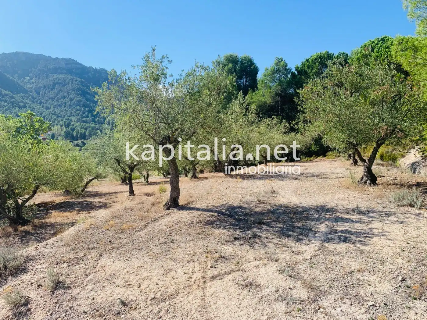 Terreno residencial en venta en Alfafara, imagen 12