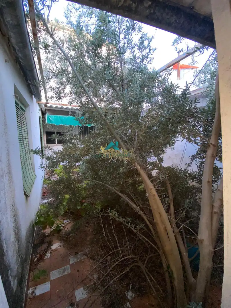 House with terrace for sale in Torredonjimeno, imagen 13