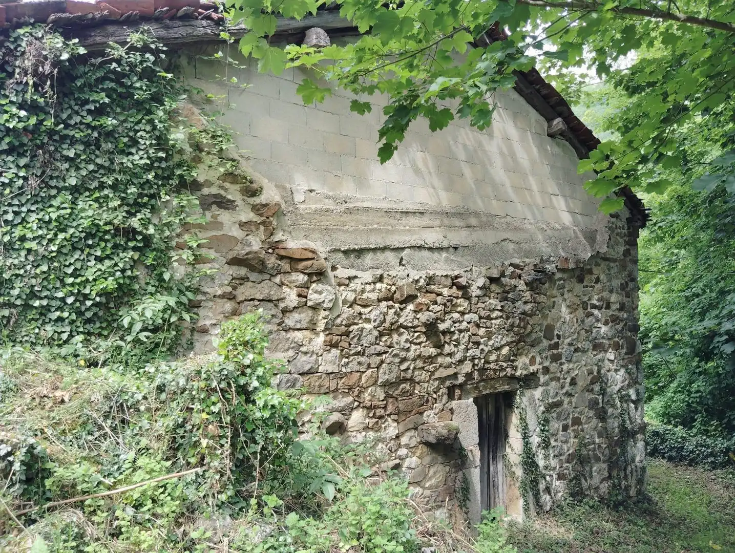 Außenansicht von Haus oder Chalet zum Verkauf in Ponga