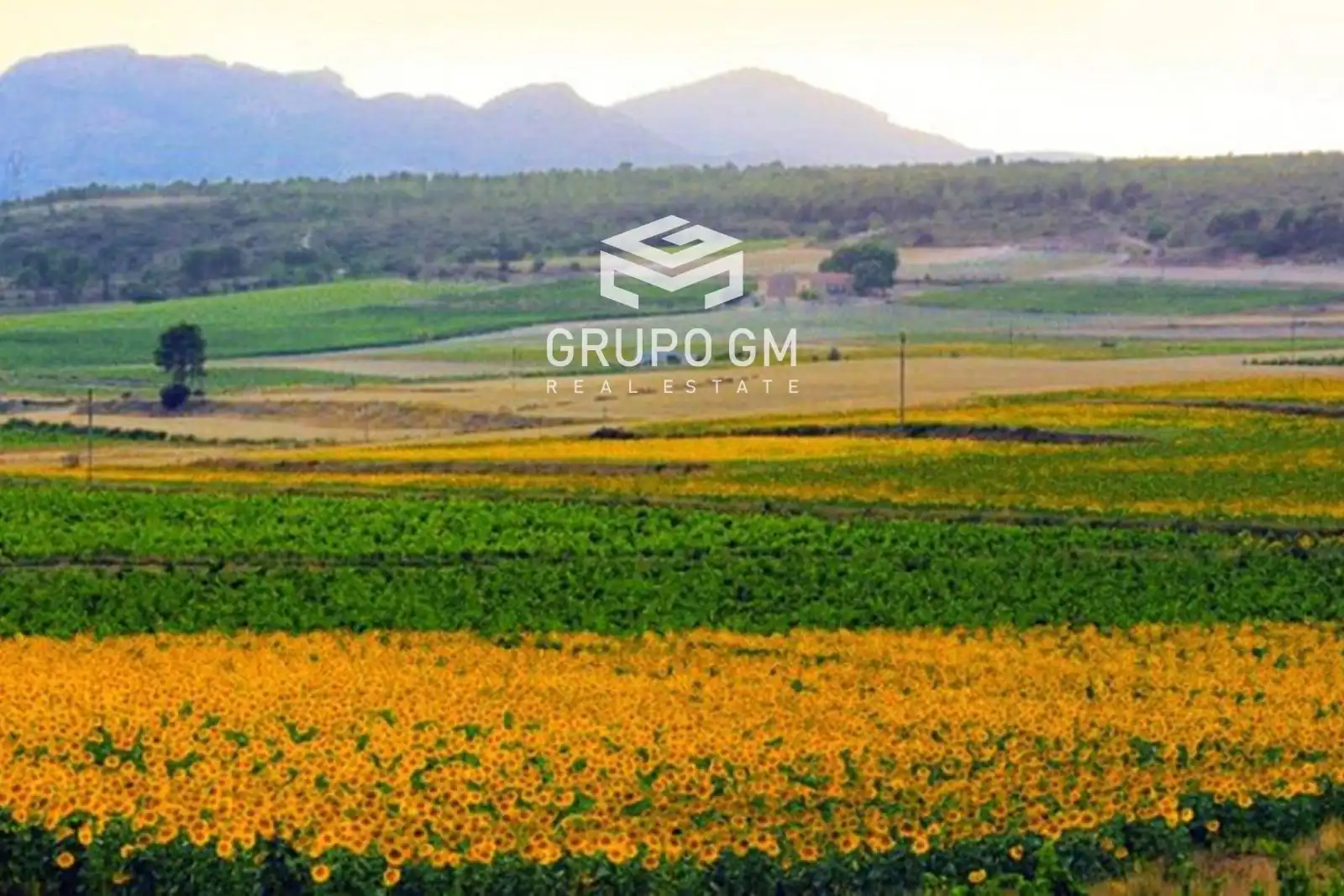 Terreno residencial en venta en Centro
