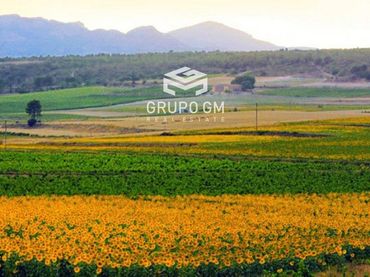 Terreno residencial en venta en Centro