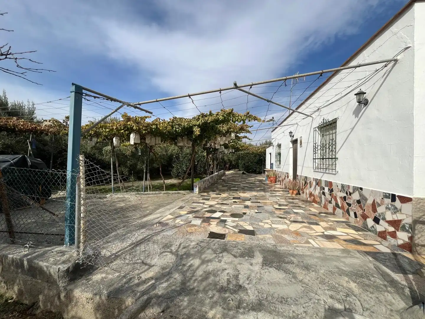 Vista exterior de Terreno en venta en Alsodux
