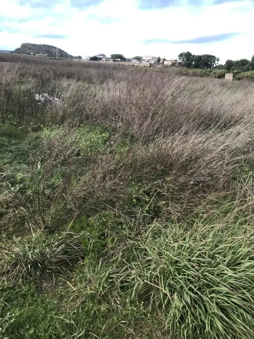 Lands and plots for sale in Corralet - Bonanza - Tres Rutas, imagen 11