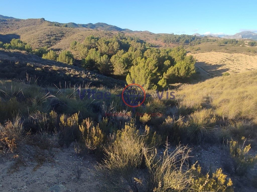 Residential for sale in Lorca